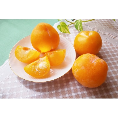 yʌzv(S[hHP)1.2kg@Gi@0106-2605