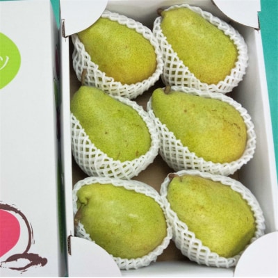 西洋梨(マルゲリット・マリーラ)3.7kg　6玉　大玉　特秀品　0042-2603