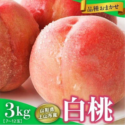 山形県上山市産　白桃(品種おまかせ)3kg　0136-2601