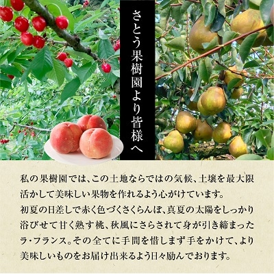 山形県上山市産　白桃(品種おまかせ)3kg　0136-2601