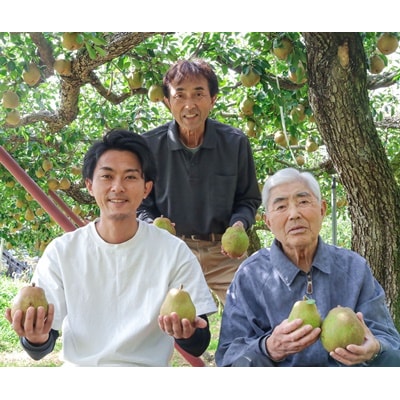 【超大玉8Lサイズ!!】ラ・フランス　4玉　ご家庭用　0078-2608