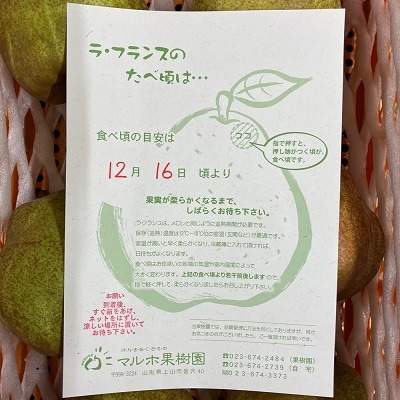 【超大玉8Lサイズ!!】ラ・フランス　4玉　ご家庭用　0078-2608