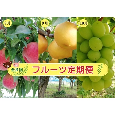 【定期便:全3回】フルーツ定期便　0148-2505