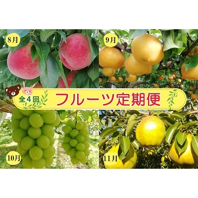 【定期便:全4回】フルーツ定期便　0148-2506