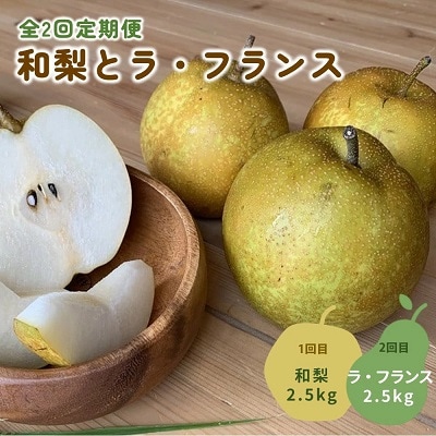 【定期便:全2回】和梨とラ・フランス　各2.5kg　0012-2511