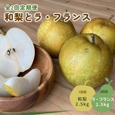 【定期便:全2回】和梨とラ・フランス　各2.5kg　0012-2608