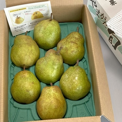 西洋梨(ラ・フランス)3kg　大玉　ご家庭用　0009-2511