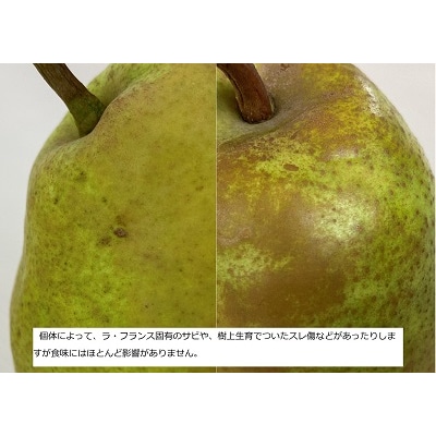 西洋梨(ラ・フランス)3kg　大玉　ご家庭用　0009-2511