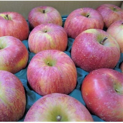 【2027年1月～発送】りんご(葉とらずサンふじ)5kg　ご家庭用　0075-2615