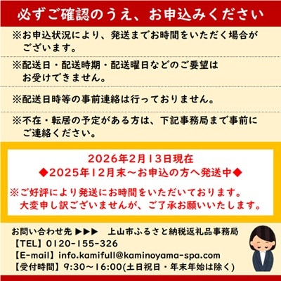 かみのやまシュー　3個　0048-2501
