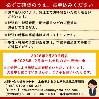 かみのやまシュー　3個　0048-2501