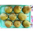 西洋梨(ラ・フランス)3kg　ご家庭用　0025-2514