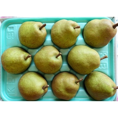 西洋梨(ラ・フランス)3kg　ご家庭用　0025-2616
