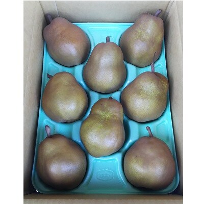 西洋梨(ゴールドラ・フランス)3kg　0017-2623