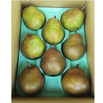 ラ・フランスとゴールドラ・フランス詰合せ　3kg　ご家庭用　0017-2624