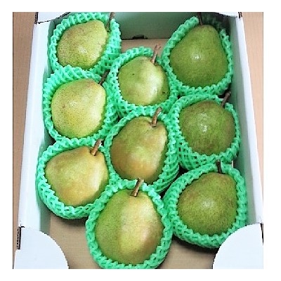 西洋梨(ラ・フランス)3kg　8～10玉　特秀品　0042-2505