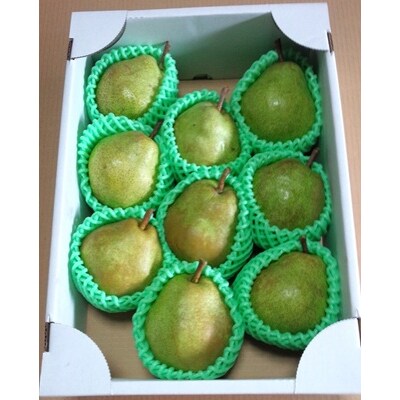 西洋梨(ラ・フランス)3kg　8～9玉　特秀品　0042-2607