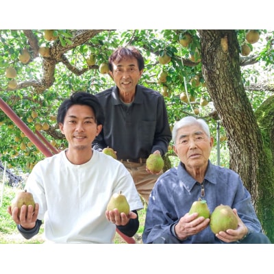 西洋梨(ラ・フランス)3.4kg　ご家庭用　0078-2505