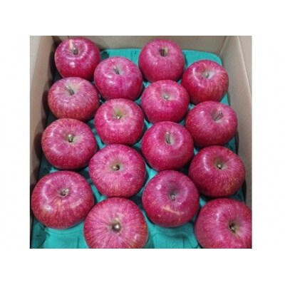 りんご(サンふじ)5kg　8～16玉　ご家庭用　0030-2513