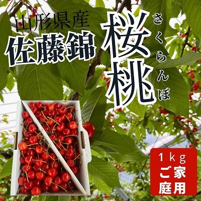 さくらんぼ(佐藤錦)1kg　ご家庭用　0079-2501