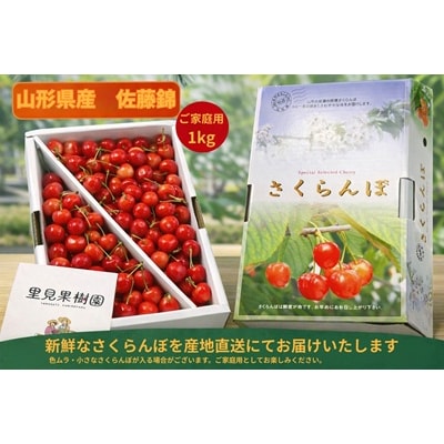 さくらんぼ(佐藤錦)1kg　ご家庭用　0079-2601