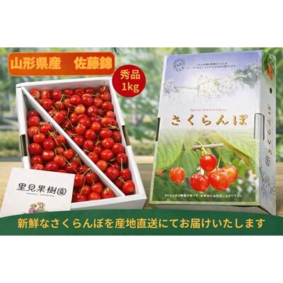 さくらんぼ(佐藤錦)1kg以上　Lサイズ以上　秀品　0079-2602