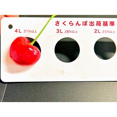 さくらんぼ(やまがた紅王)200g　3L以上　秀品　0079-2506