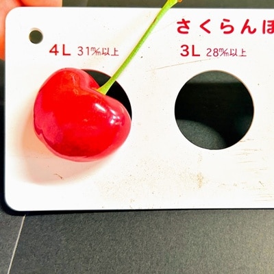 さくらんぼ(やまがた紅王)200g　3L以上　秀品　0079-2608