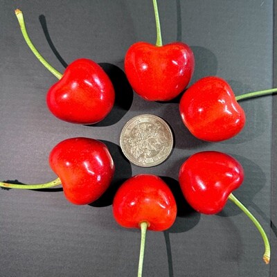 さくらんぼ(やまがた紅王)200g　3L以上　秀品　0079-2506