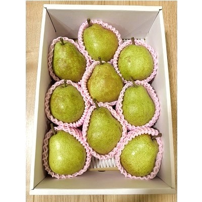 【定期便:全3回】和梨・洋梨の定期便　0142-2619