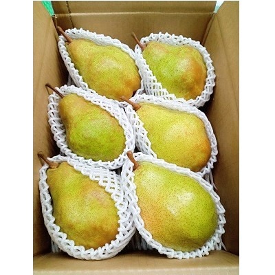 【定期便:全3回】和梨・洋梨の定期便　0142-2619