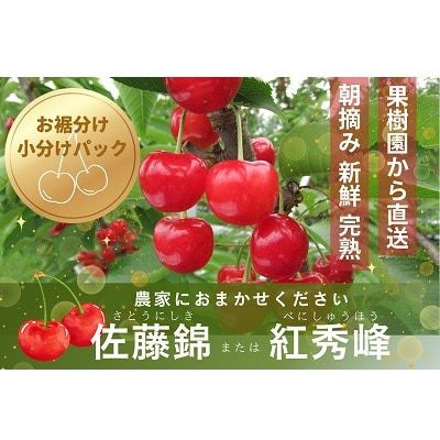 さくらんぼ(佐藤錦か紅秀峰)1kg　ご家庭用　0062-2601