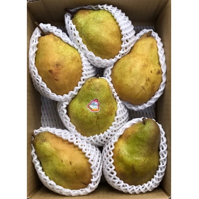 西洋梨(シルバーベル)3kg　0062-2506