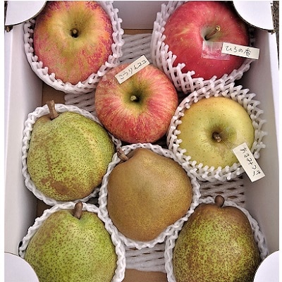 ラ・フランスなどの西洋梨とりんご2品種以上の詰合せ　3kg　ご家庭用　0075-2511