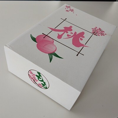 【フルーツ王国直送!】山形旬の桃　2kg(品種おまかせ)　0033-2515