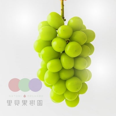 大粒シャインマスカット　1房　0079-2612