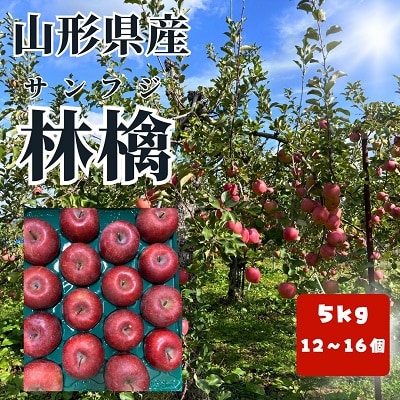 有機肥料栽培　葉とらずサンふじ　上山市産　5kg　大玉　12～16玉　0079-2524