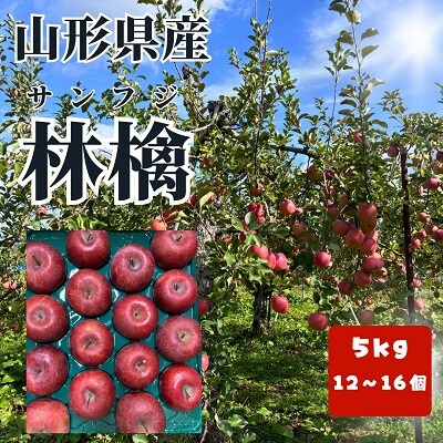 有機肥料栽培　葉とらずサンふじ　上山市産　5kg　大玉　12～16玉　0079-2626