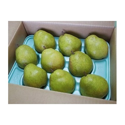 西洋梨(ラ・フランス)3kg　ご家庭用　0037-2506