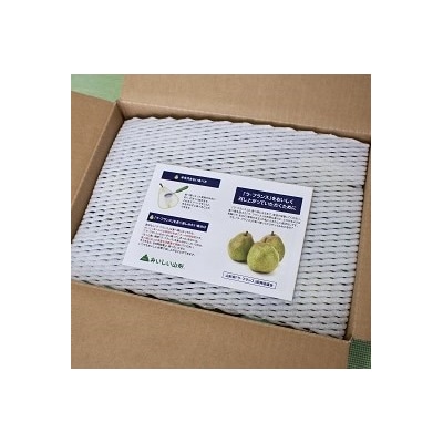 【定期便:全2回】ラ・フランス　3kg　ご家庭用を2回お届け　0037-2602