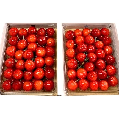さくらんぼ(佐藤錦)350g×2パック　手詰め　0049-2604