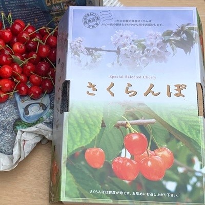 さくらんぼ(佐藤錦)350g×2パック　手詰め　0049-2604