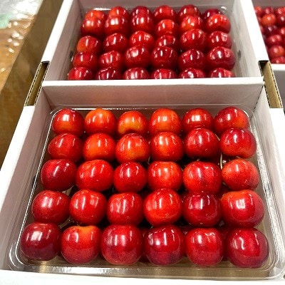 さくらんぼ(紅秀峰)400g×2パック　2L　並び詰め　0049-2605