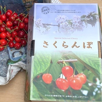 さくらんぼ(紅秀峰)400g×2パック　2L　並び詰め　0049-2605