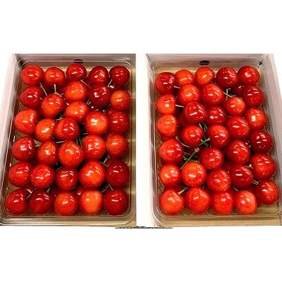 【定期便:全4回】果物たくさん『上山を楽しむ!ん～まい』定期便　0049-2601