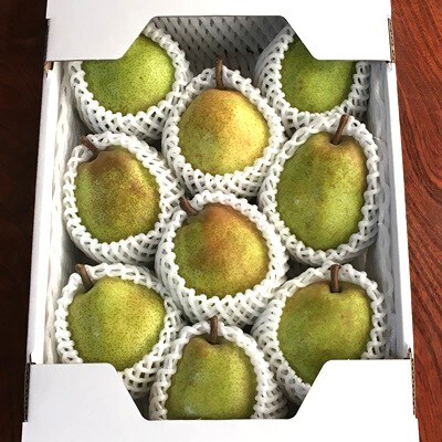 【定期便:全4回】果物たくさん『上山を楽しむ!ん～まい』定期便　0049-2601