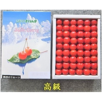 さくらんぼ(佐藤錦)500g　手詰め　0056-2605
