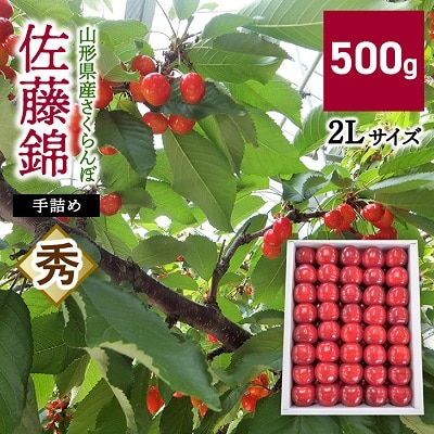 さくらんぼ(佐藤錦)500g　2Lサイズ　手詰め　0056-2606