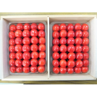 さくらんぼ(佐藤錦)1kg(500g×2パック)桐箱入　0056-2609