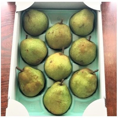 西洋梨(ラ・フランス)3kg　8～11玉　ご家庭用　0049-2610